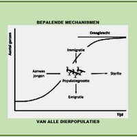 Marcel Vossestein (@vossestein) 's Twitter Profile Photo