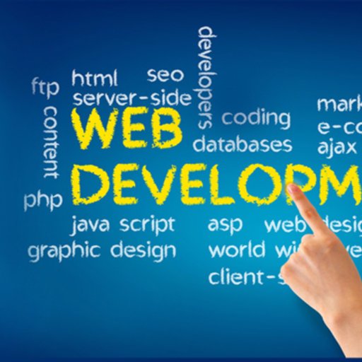 codesolution555's profile picture. 