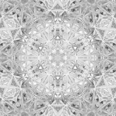 cre8otype's profile picture. @cre8otype #experimental #newmedia #fractal #programmatic #elements #objects #assets #prototyping creative technology for mass adoption