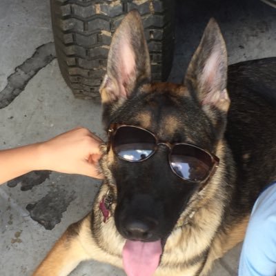 define829's profile picture. 