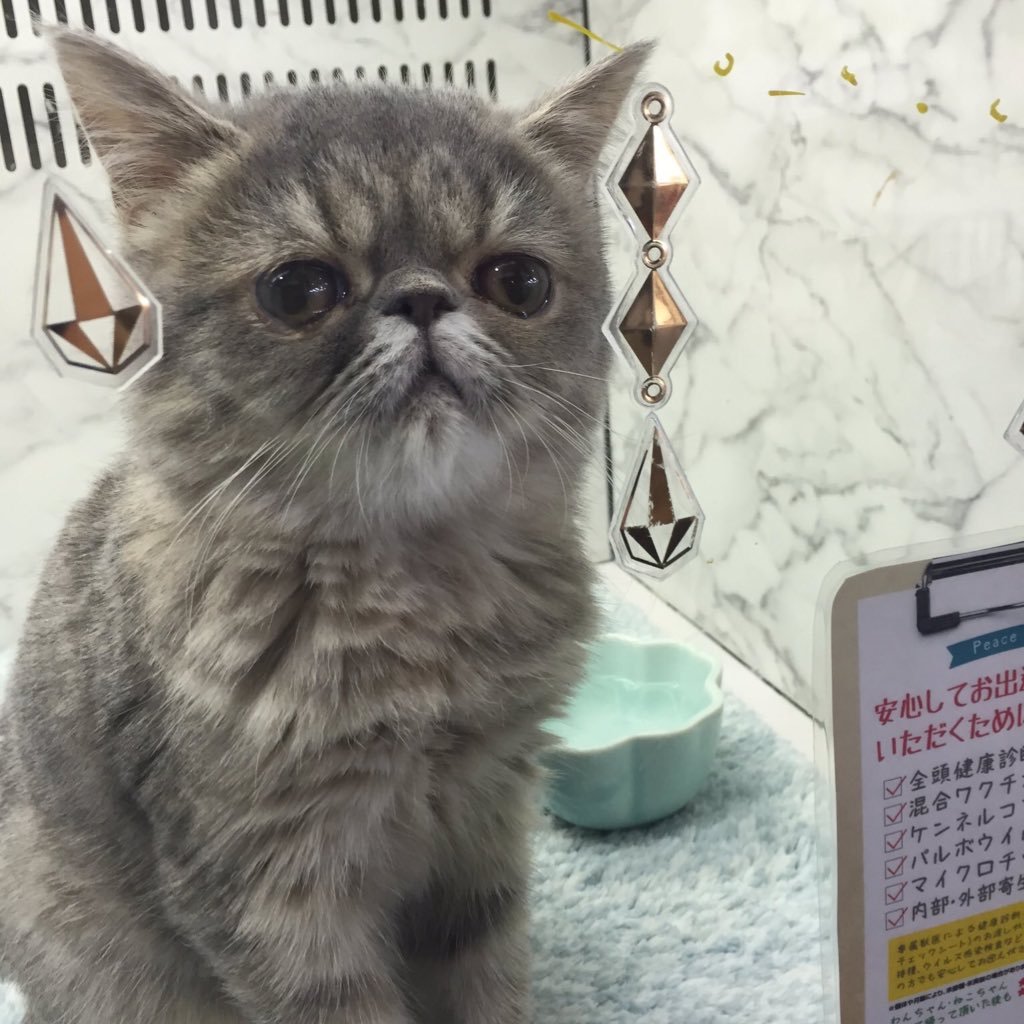 uuuuuuuuuuure's profile picture. 