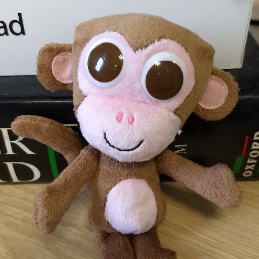 A monkey interested in playful learning with his friend @toondav