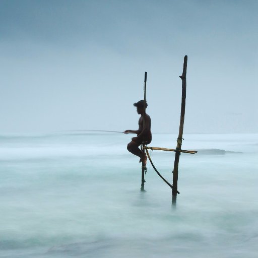 bobozszs's profile picture. VFX