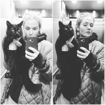 MinKattBaloo's profile picture. Mänska. Har lätt hybris och världens sämsta självförtroende.