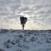 Chris Watson (@chrisawatson_) 's Twitter Profile