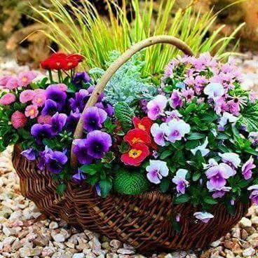 busy_mom21's profile picture. food lover. busy. not always free.