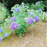 取引垢 (@torihiki_2k) Twitter profile photo