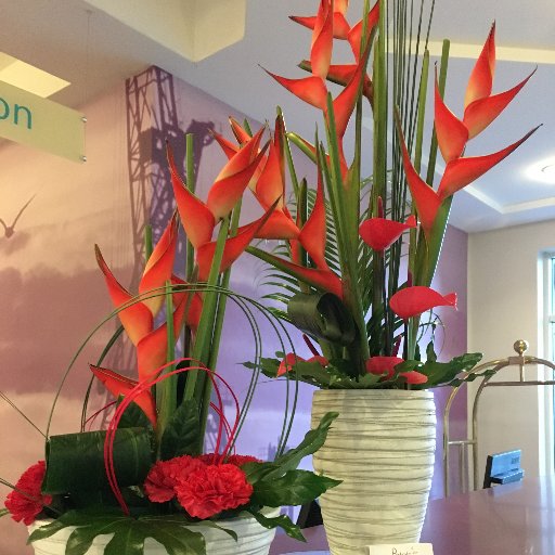 Established Florist with 34 years of experience. Based in the West End of Glasgow 💐🌺 Give us a call on 0141 357 3920