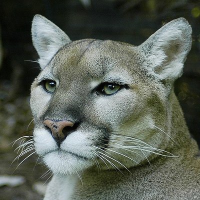 29Icarus's profile picture. Football, jazz, electro, horror movies, gloomy novels. Fake account of a real weirdo.