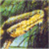 Stephanie Oneill (@scaryma) 's Twitter Profile