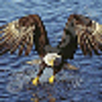 Christoper Spangler (@maipaiqc) 's Twitter Profile