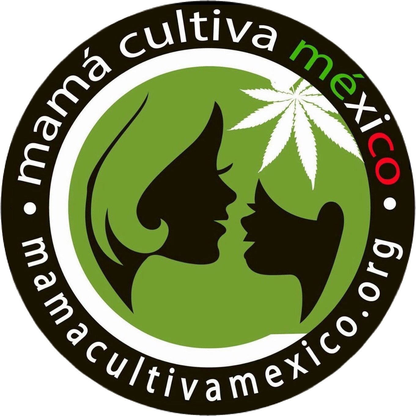 MamaCultivaMex's profile picture. 