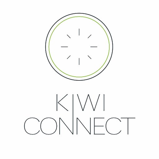 Kiwi Connect installs automated electrical systems including lighting, heating, ventilation & entertainment systems for businesses, homes & luxury transport.