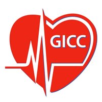 GICC (@giccardio_fr) 's Twitter Profile