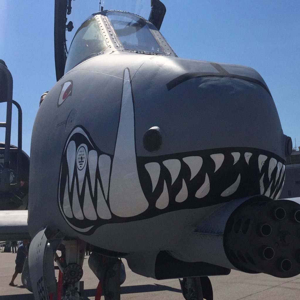 JayRoc1995's profile picture. Avid Golfer and Golf Fan. Love my Indians, Browns and Cavs. Enjoying life every single day and making the next day better than today.