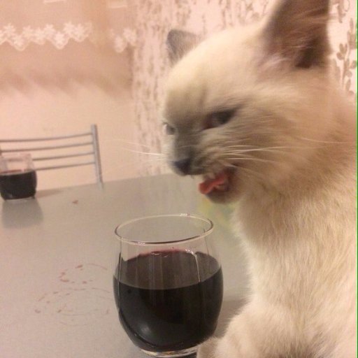 arcturuss's profile picture. что?