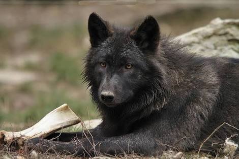 ZahirGlosbe's profile picture. Looking for some fun