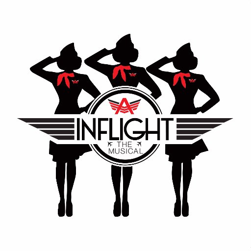 A musical comedy all about the flight attendant lifestyle.