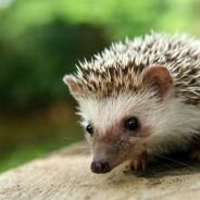 aruaru24_bot's profile picture. 日頃思ったことを呟きます。
政治、経済、経営について勉強しています。
いろいろと教えて下さい。