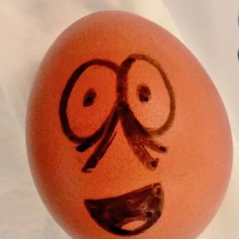 EggstronautX's profile picture. I'm an #Eggstronaut don't break me!