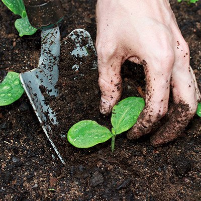 A new #gardening show @AccessibleMedia rooted in inclusion. Rosemarie and Milena pair up to build an #accessible #garden plot and tackle tough #landscaping jobs