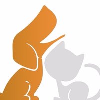 Huellitas Perdidas (@huelliperdiorg) 's Twitter Profile