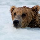 Why sky high? - @TheWalterHam - Twitter