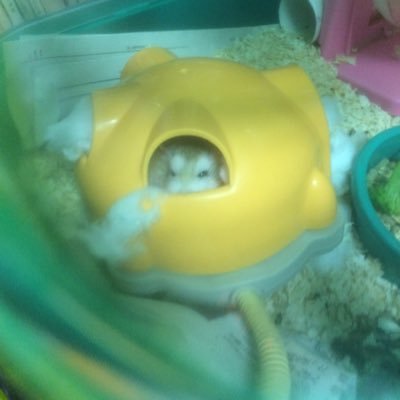 yagyuumituyoshi's profile picture. 