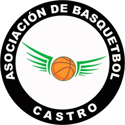 Trabajando para el basquetbol Chilote. Equipos CD Deportes Castro, CD San Francisco, CD Escolar Castro, CD Chonchi y CD Achao