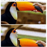 BirdMemes (@ineptbirder) 's Twitter Profile