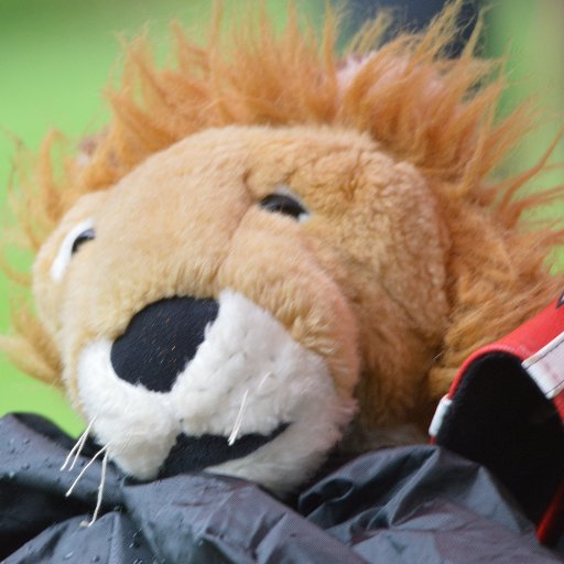 SusanEllis100's profile picture. A bit of golf 🏌🏼‍♀️ a bit of Bristol Bears 🐻🐻 supporting. Own views unless someone elses..