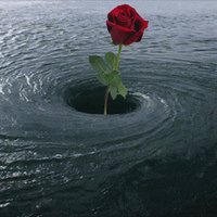 Hakan gül (@05354927368) 's Twitter Profile
