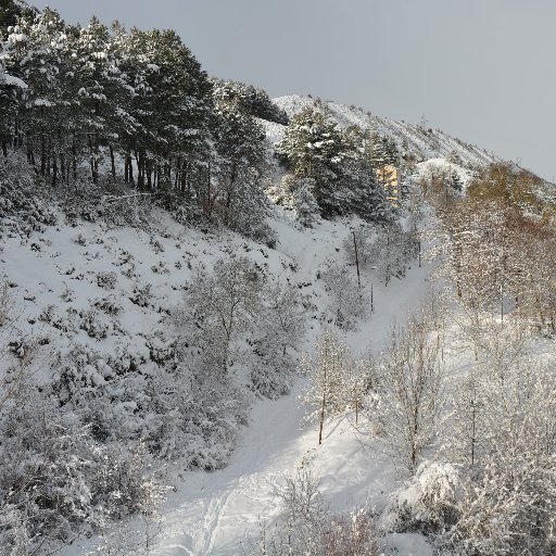 fpbescos's profile picture. 