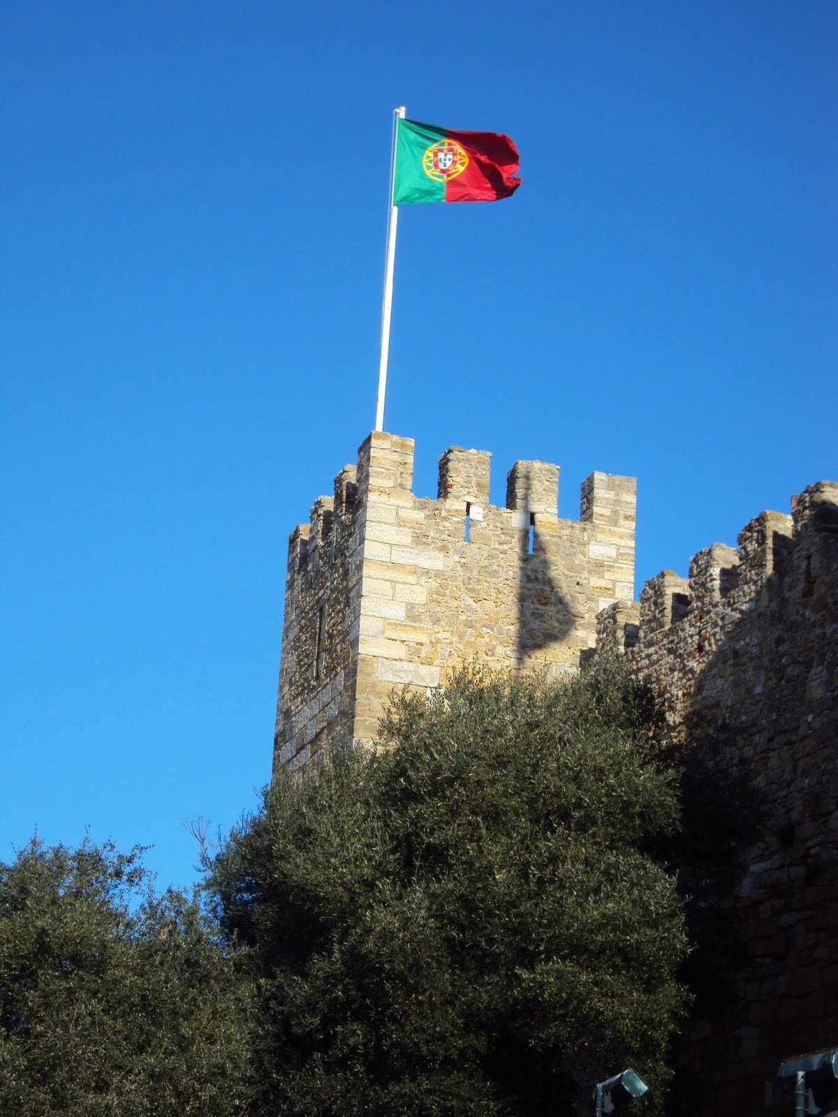 MinhaPrincesaSC's profile picture. 