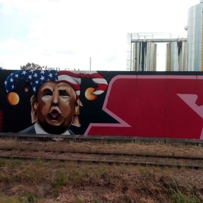 Geslin974's profile picture. Rédacteur en chef Cirano médias