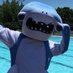 Hammer Hershberger (@iceyshanks) Twitter profile photo Hammer Hershberger (@iceyshanks) Twitter profile photo