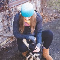 Colleen Molloy (@teachmsmolloy) 's Twitter Profile