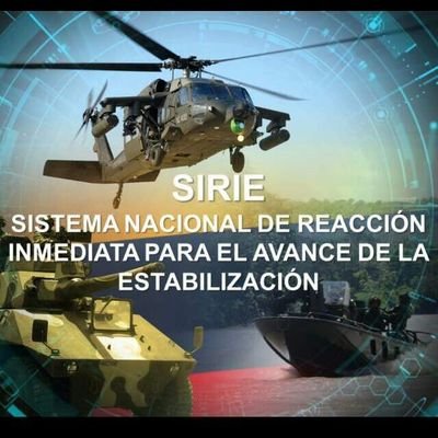 Sistema Nacional de Reaccion Inmediata para el avance de la Estabilizacion .

Con las instituciones de Seguridad  neutralizamos  los factores de Criminalidad.