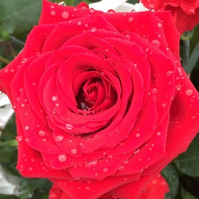 romiedomie01's profile picture. Entertainment General News Gov Officials & Agencies Government & Politics Lifestyle Music News Politics Science World News US News Weather