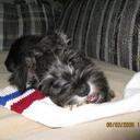 Ed Neff - @backhoes - Twitter