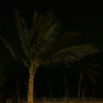 df222274's profile picture. ملكي.. 
ܙܠܠ𐫘ُܩّܢ 
ࡎَܠِّࡉ 𐭦ٙߺܠܨ ܩُܥٙܩ𐫔 ﷺ