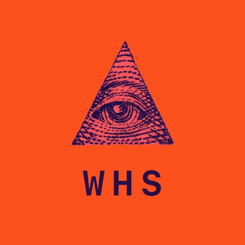 highlighting the hustle of the walpole high school alumni illuminati