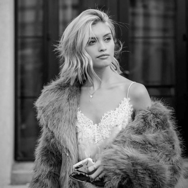 rxseselma's profile picture. wild thoughts