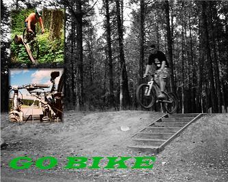 I am a Biker, Husband, Father, Granddad, and Bike Shop owner.