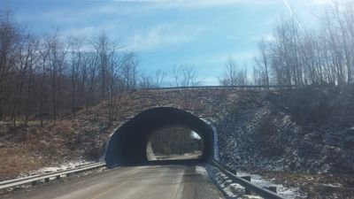 Woods abiding portal. Worldbridger. #Decolonize
she/her #Appalachia