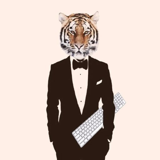 CCoderLiu's profile picture. a coder from China !