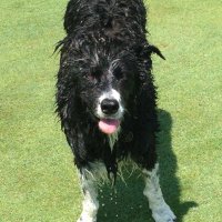 David Meek (@davidmeek24) 's Twitter Profile