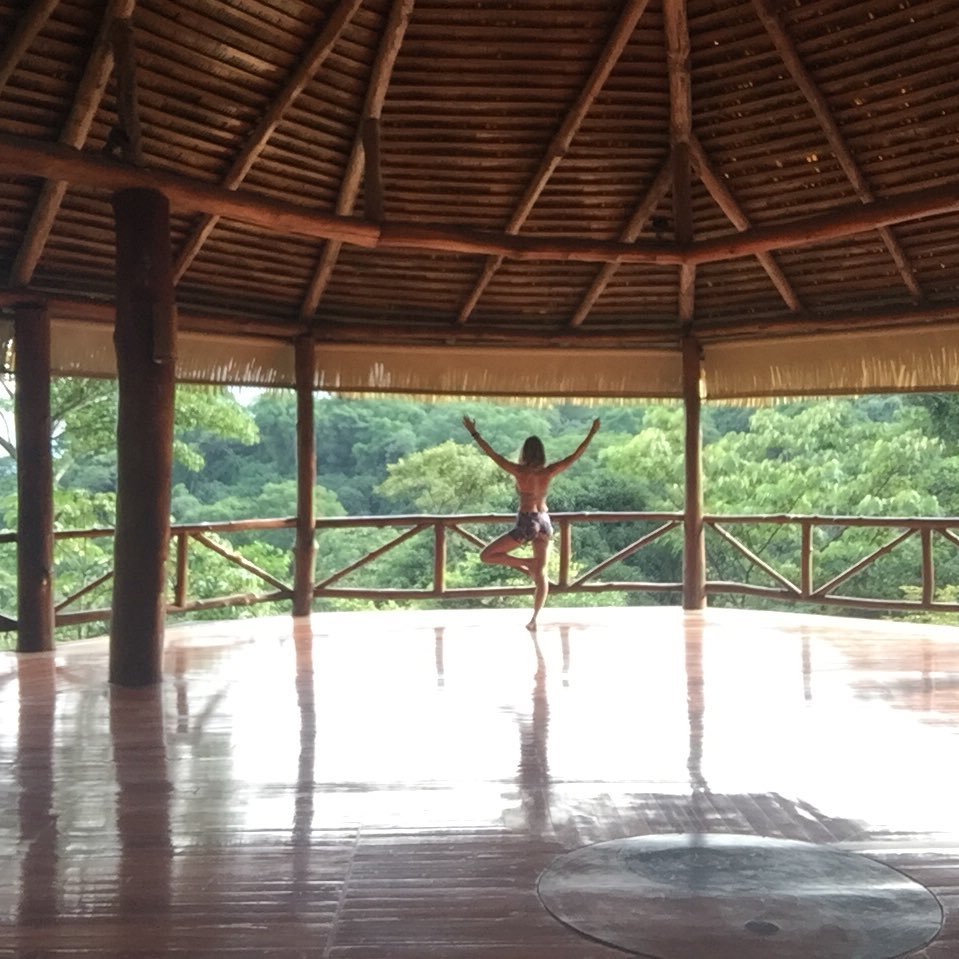 LisaShawcroft's profile picture. Holistic wellness coach. Writer. @ghcorps alum. Reproductive Rights Warrior//nasty woman.