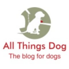 All Things Dog