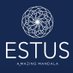 Estus | Mandalas & Mindfulness (@shopestus) Twitter profile photo Estus | Mandalas & Mindfulness (@shopestus) Twitter profile photo